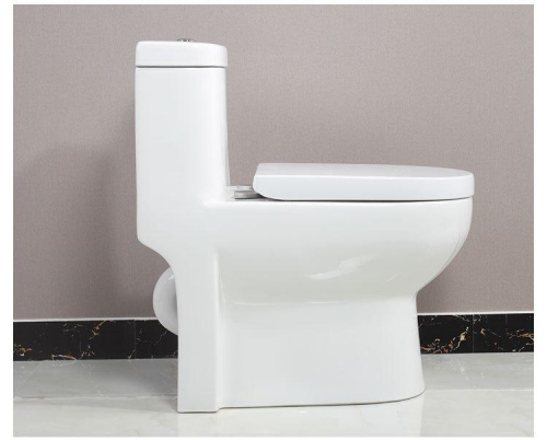 siphonic commode