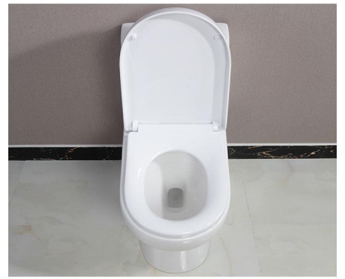 1002 Bathroom toilet commode Siphonic one piece toilet Elongated toilet seat