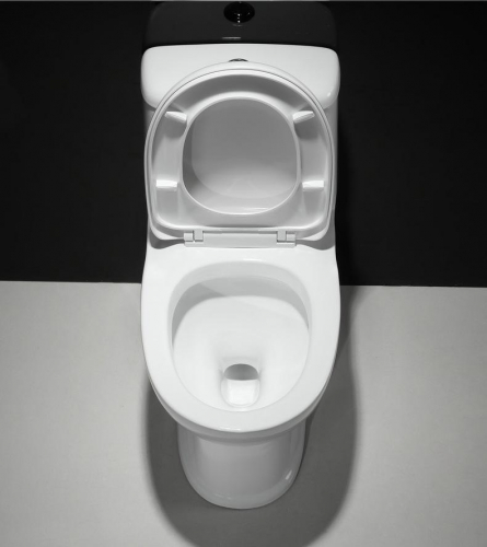 1005 Toilet commode with siphonic flushing