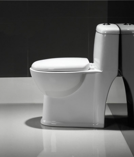 1005 Toilet commode with siphonic flushing