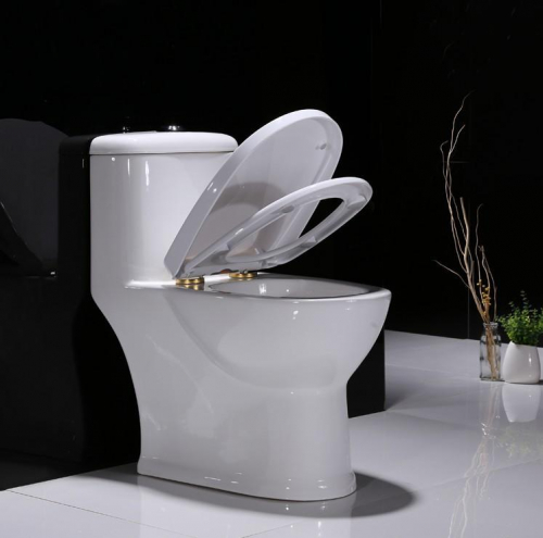 1005 Toilet commode with siphonic flushing