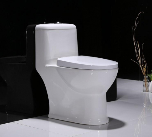 1005 Toilet commode with siphonic flushing