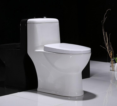 siphonic commode