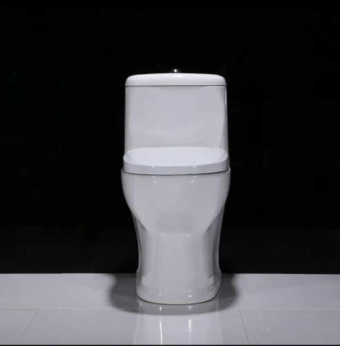 1005 Toilet commode with siphonic flushing