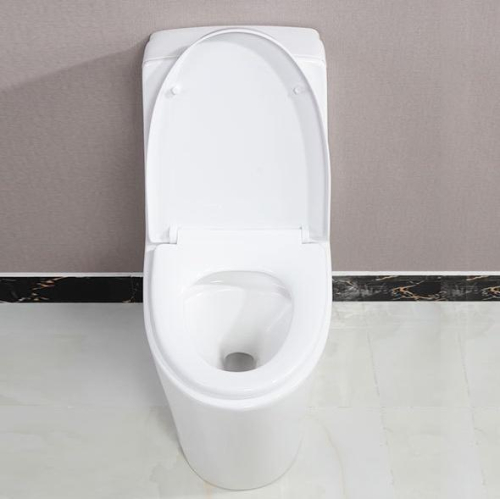 1037 Commode modern bathroom ceramic siphonic toilet