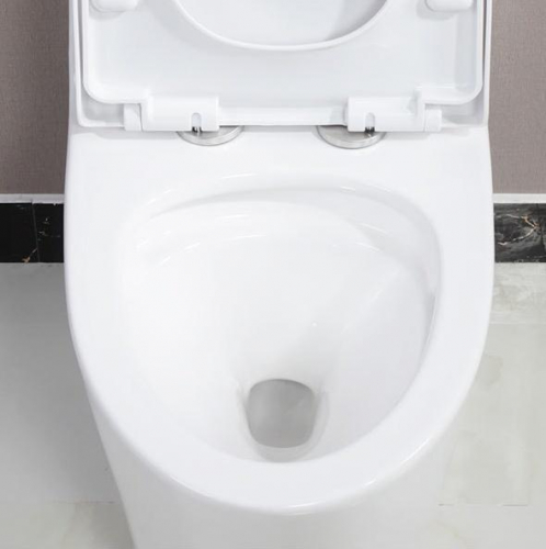 1037 Commode modern bathroom ceramic siphonic toilet