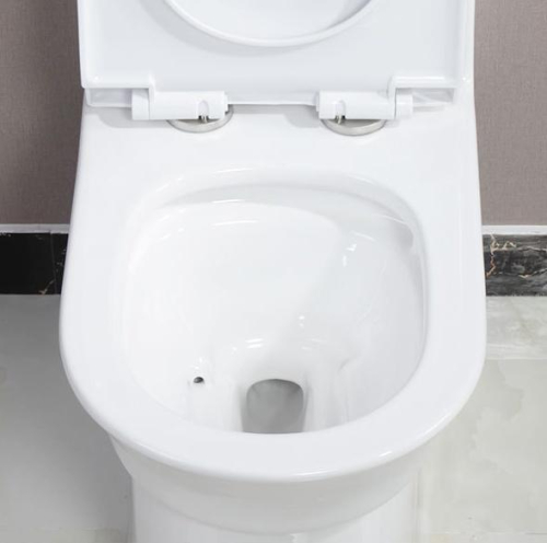 1305 one piece toilet with siphonic flushing