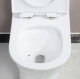 1305 one piece toilet with siphonic flushing