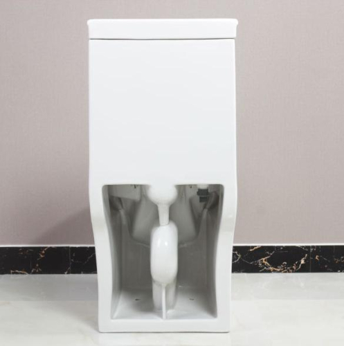 1305 one piece toilet with siphonic flushing