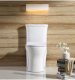 1310 Manufacturer sanitary ware toilet size