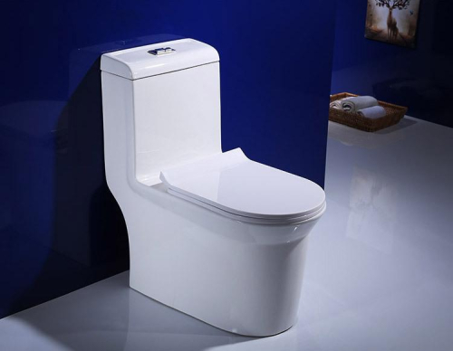 1312 Elegant design one piece tornado toilet