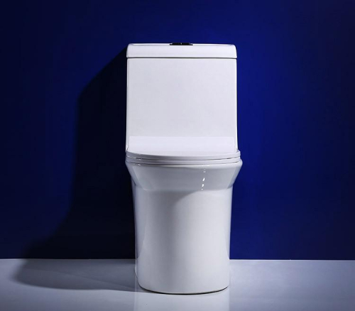 1312 Elegant design one piece tornado toilet