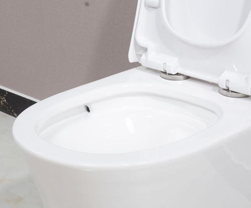 1314 High Efficiency Dual Flush Elongated All-in-One Toilet in White