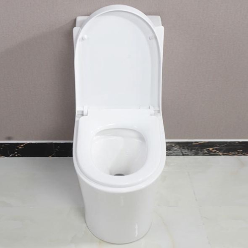 1314 High Efficiency Dual Flush Elongated All-in-One Toilet in White