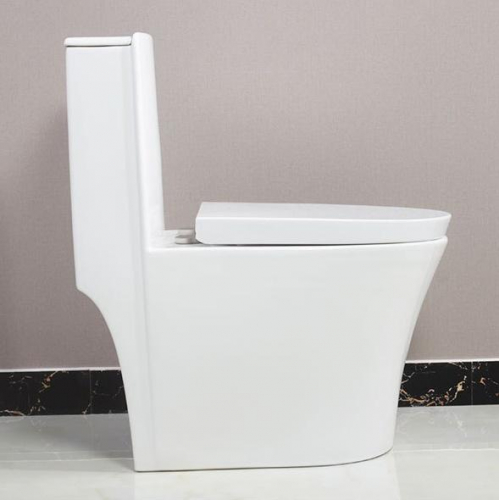 1314 High Efficiency Dual Flush Elongated All-in-One Toilet in White