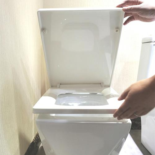 Diamond design S trap/P trap wc toilet for bathroom with accessories (1077)
