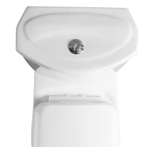 Factory price two piece toilet for project design (015)