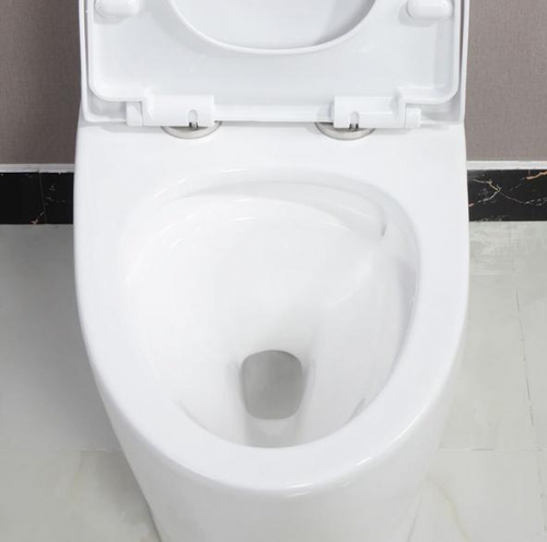 One piece toilet for bathroom 1304